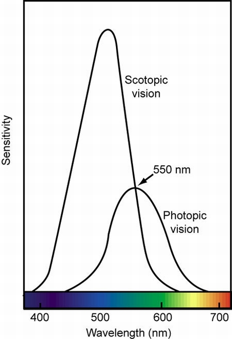 light-human-eye-meter-4.jpg