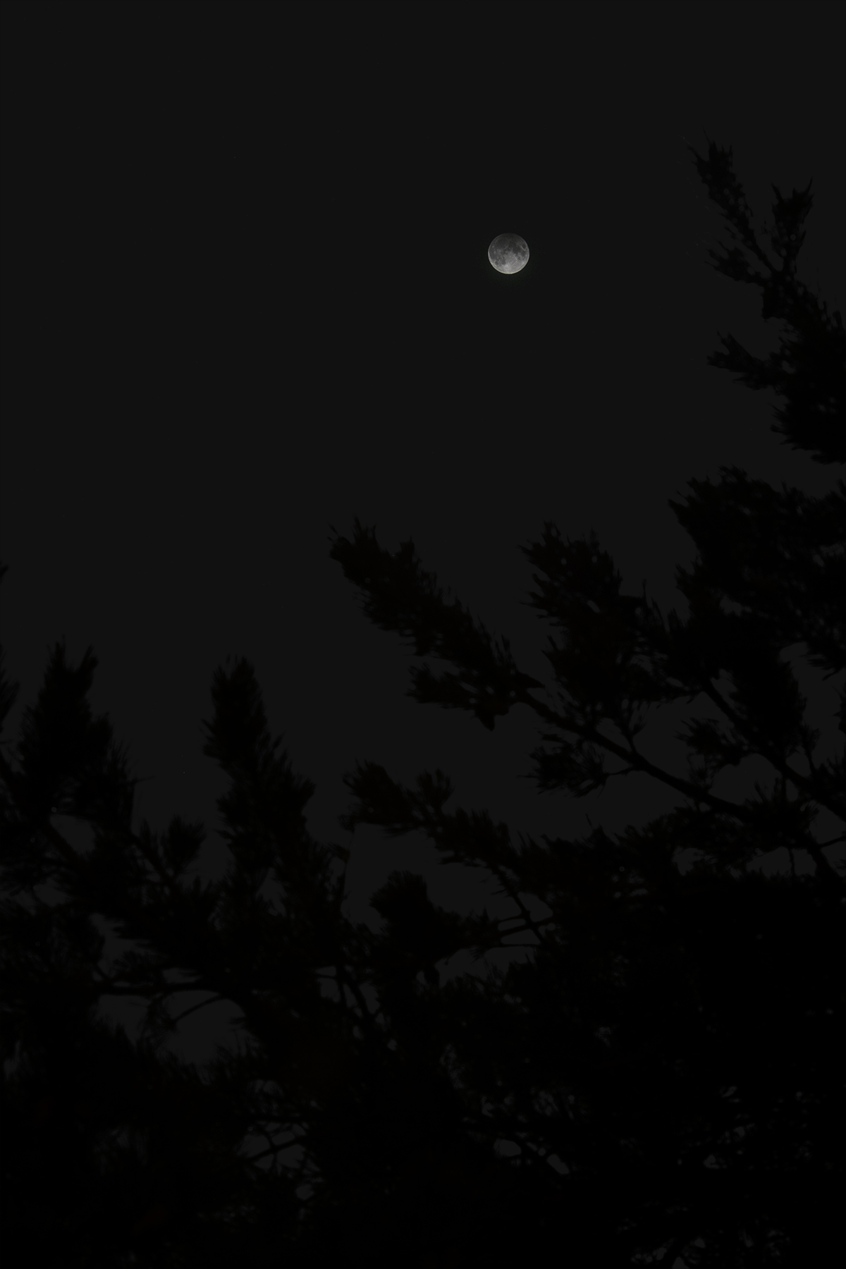 lune_ecl2.jpg