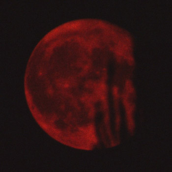 lune_rouge0687.jpg