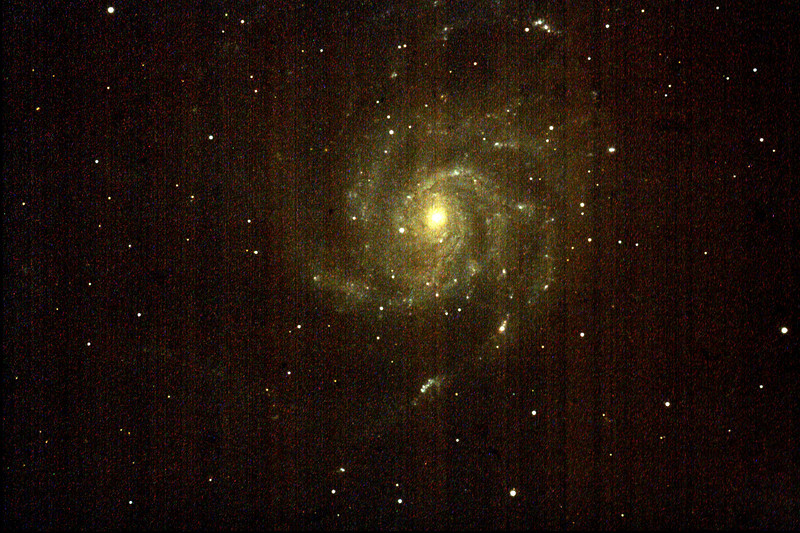 m101_fin-L.jpg