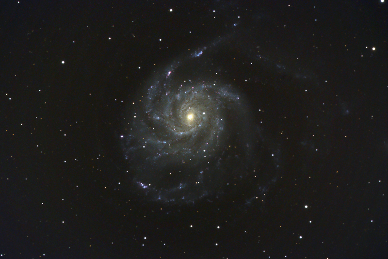 m101_forum.jpg