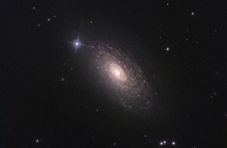 m63-t7.jpg