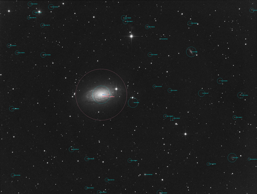 m631_Annotated.jpg