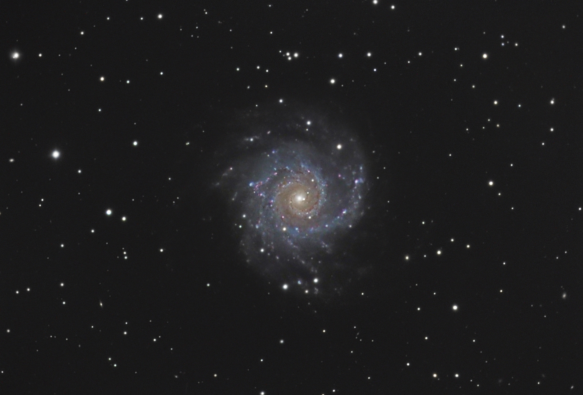 m74c11.jpg