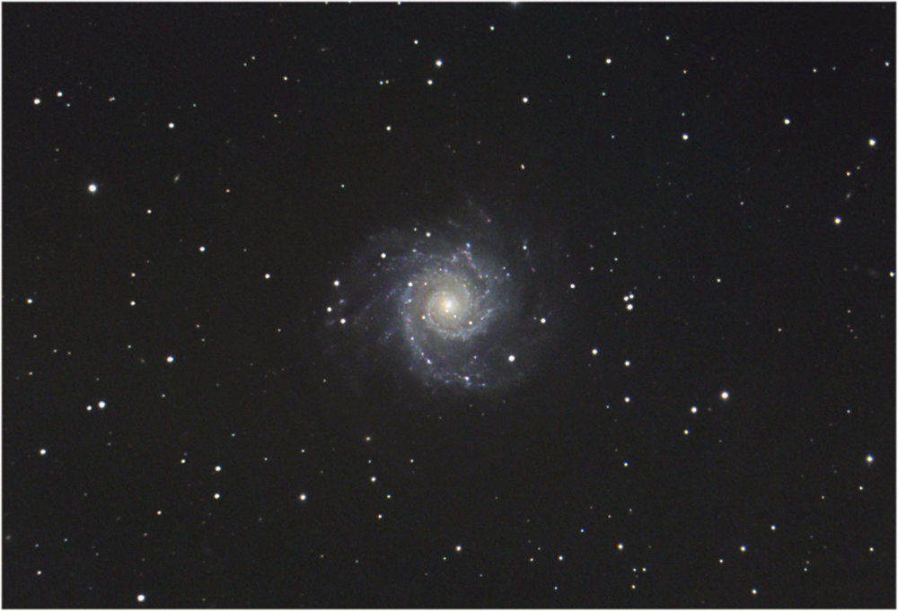 m74color.jpg