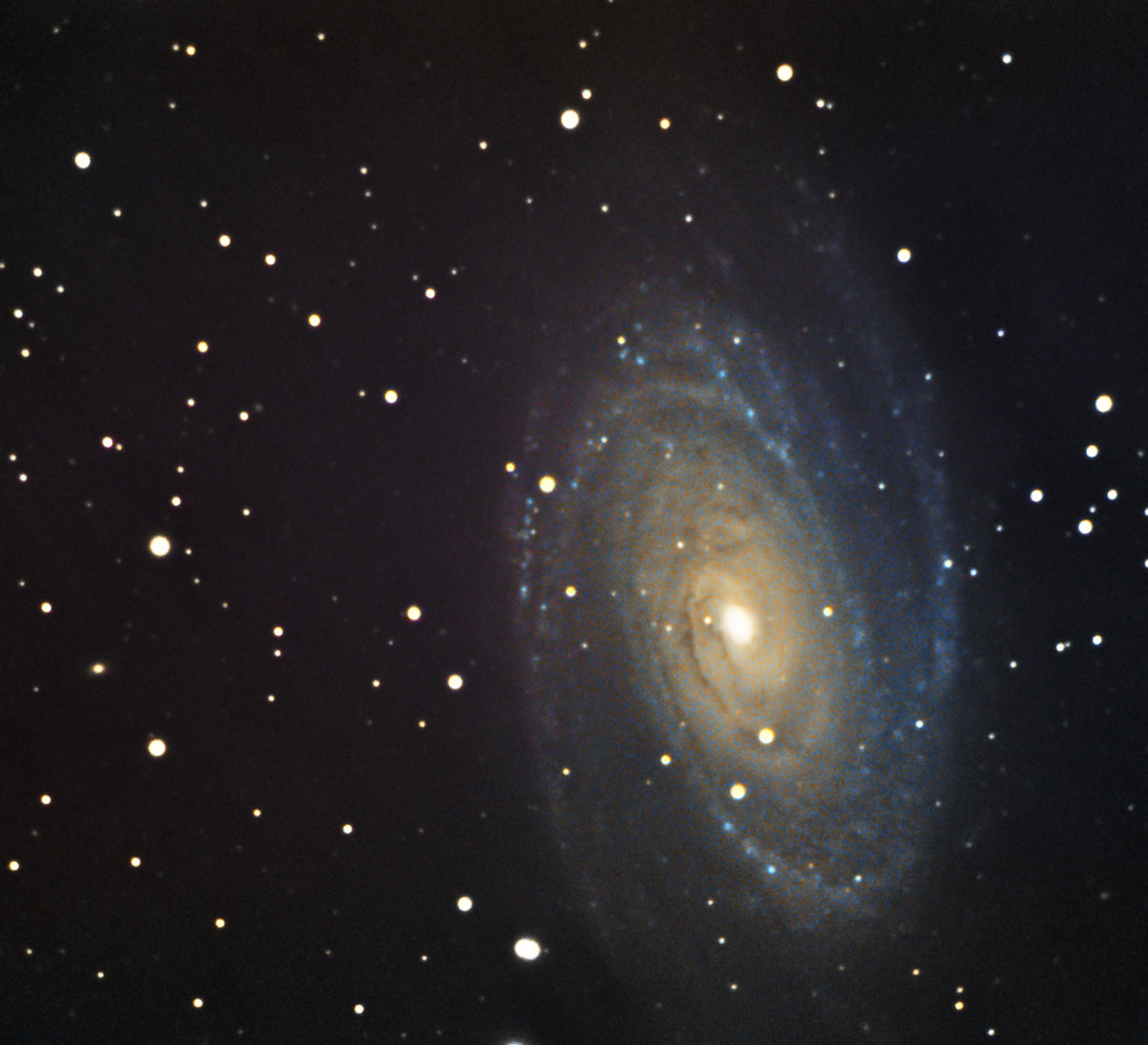 m81small.jpg