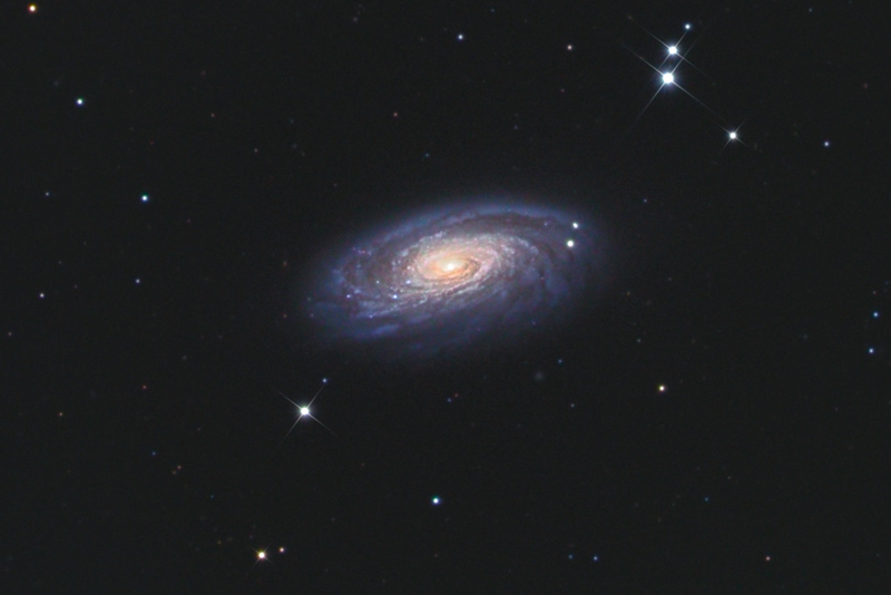 m88_120319.jpg