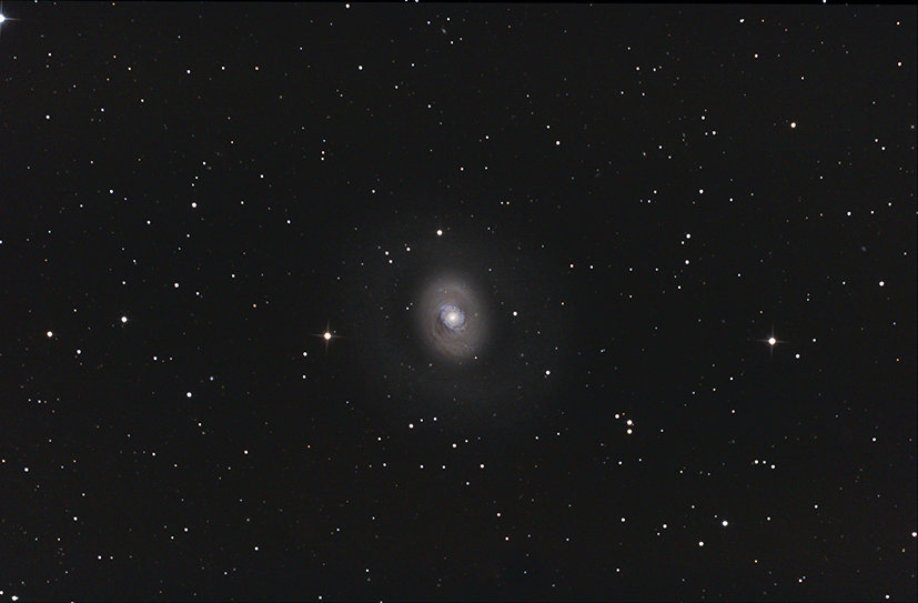m94_20100316_25pc.jpg