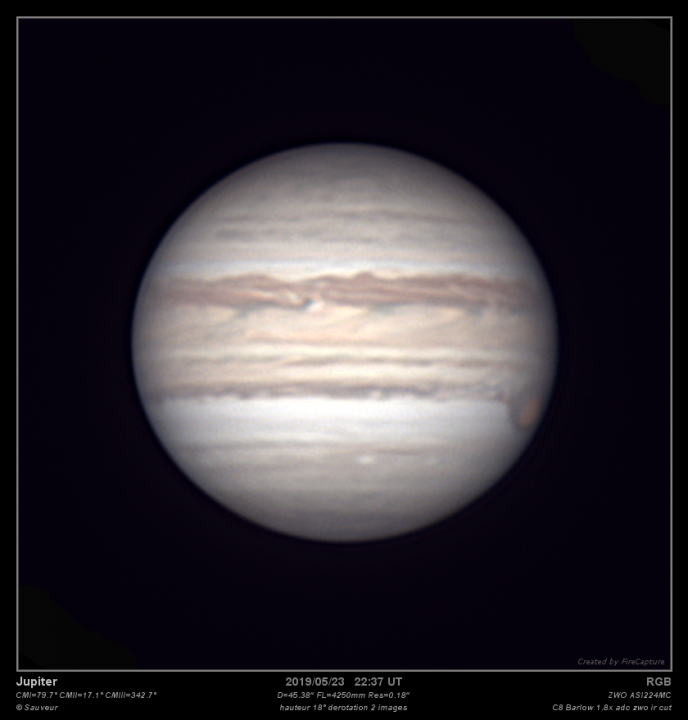 medium.2019-05-23-2240_0-sauveur_2x_web.