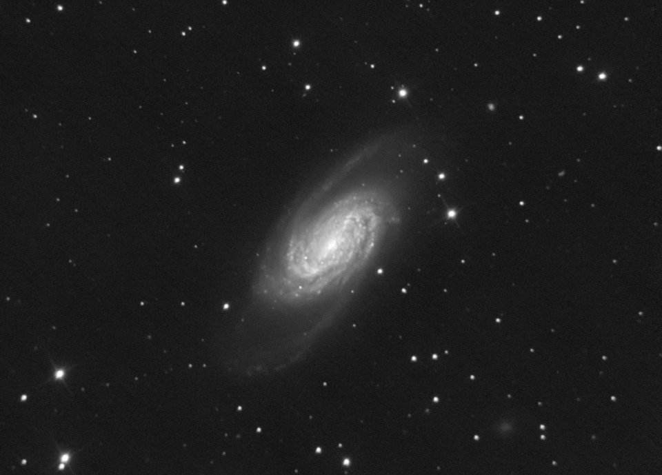 medium.ngc2903_final.jpg.99ada17451e619e