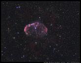 mini_518868NGC6888fullyFieldWolfiRansburg.jpg