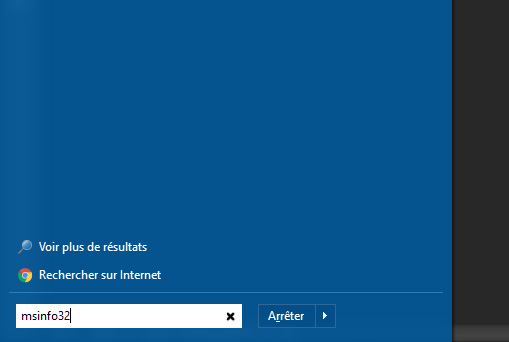msinfo32.jpg