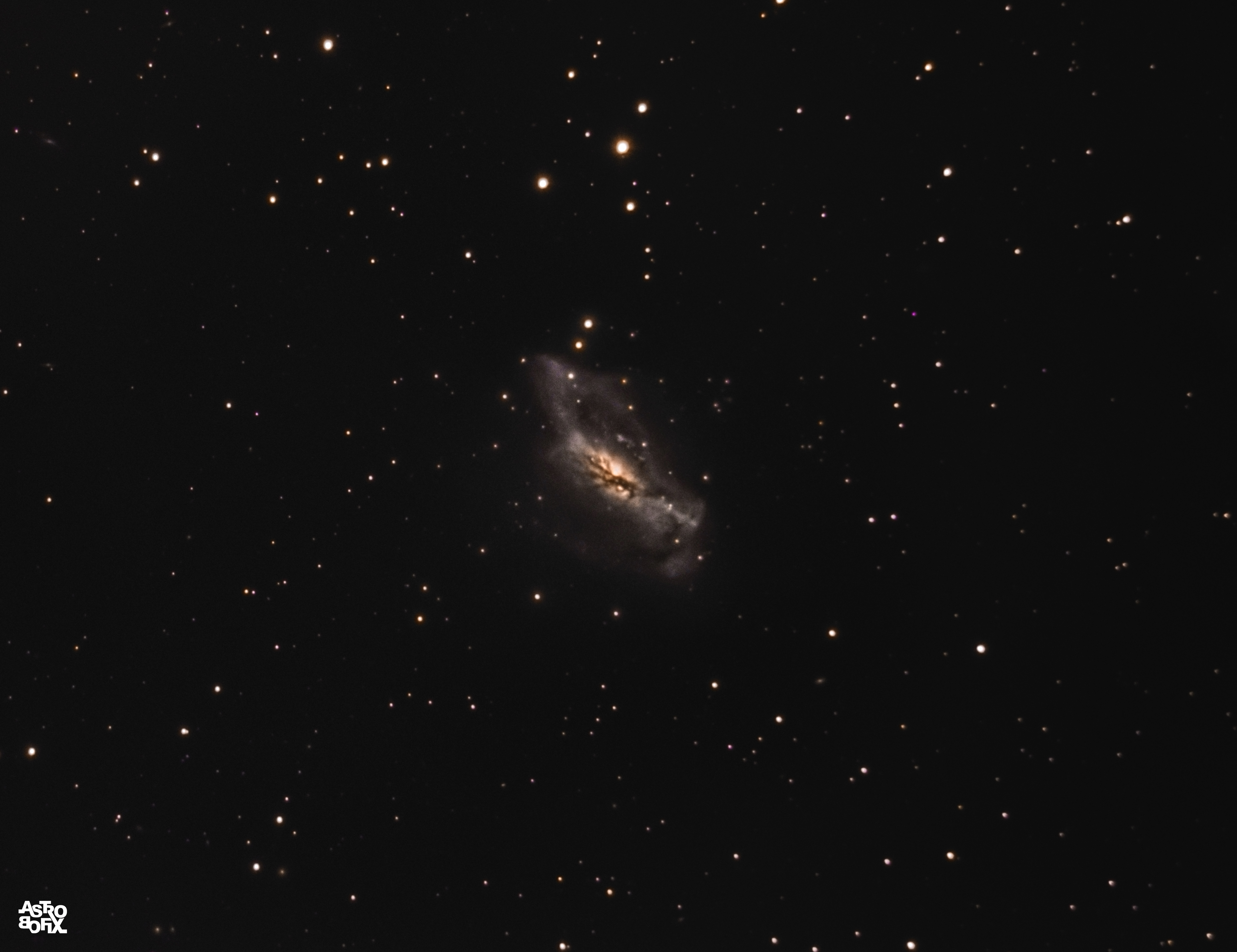 ngc2146b.jpg