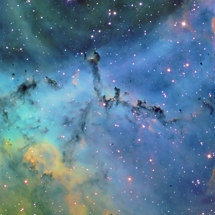ngc2237_1_HSHO_web.png