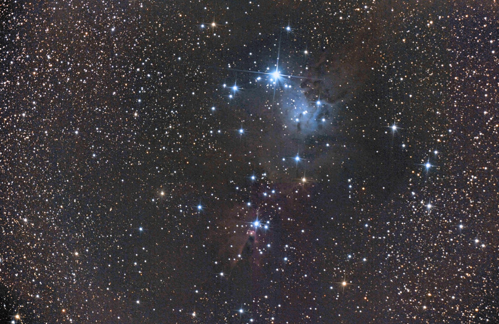 ngc2264_fofo.jpg
