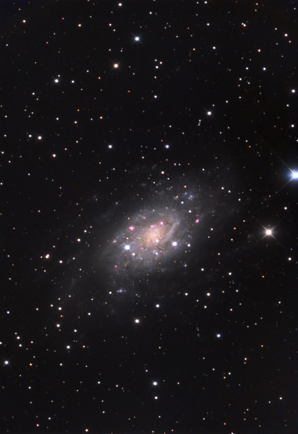 ngc2403-75.jpg
