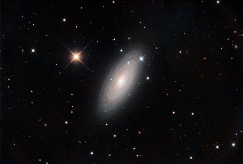 ngc2841-75.jpg