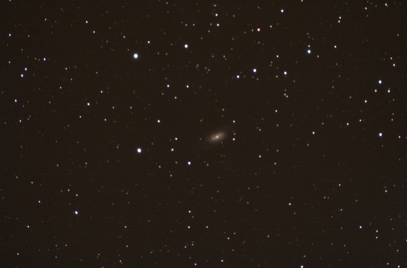 ngc29011.jpg