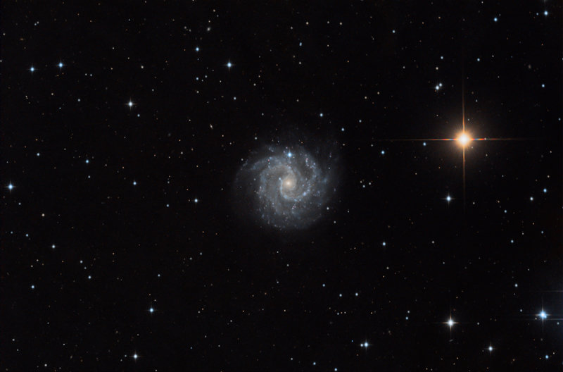 ngc3184-75.jpg