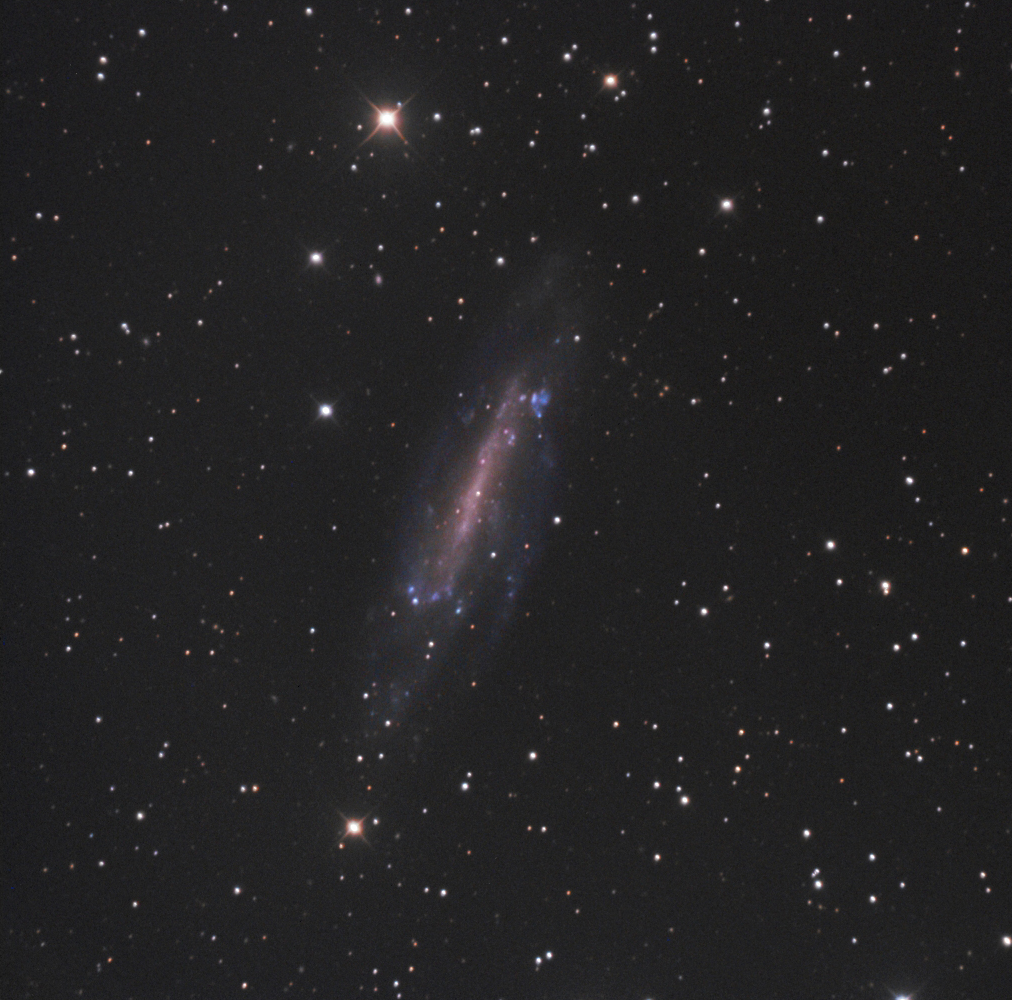 ngc4236.jpg