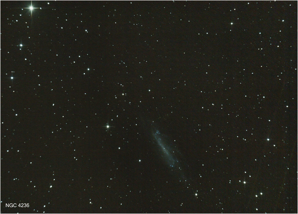 ngc4236web.jpg