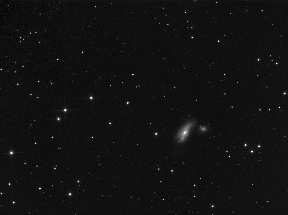 ngc4490_2009-03-22_090354.jpg