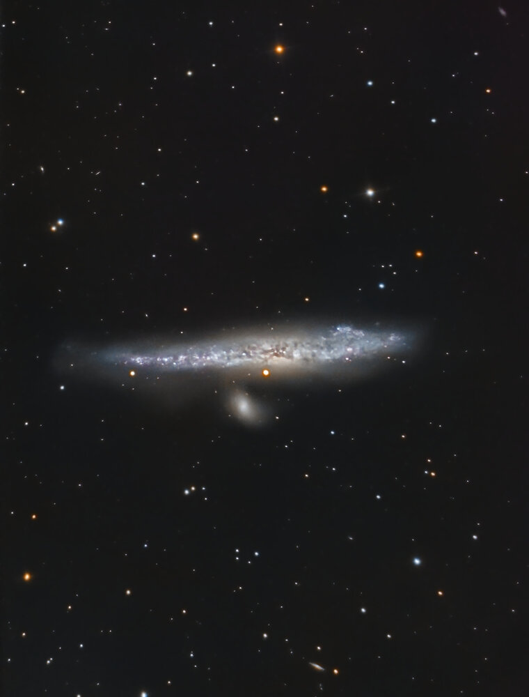 ngc4631_v2_j.jpg.76f6829c2b237878b0476c9dab1fa56c.jpg