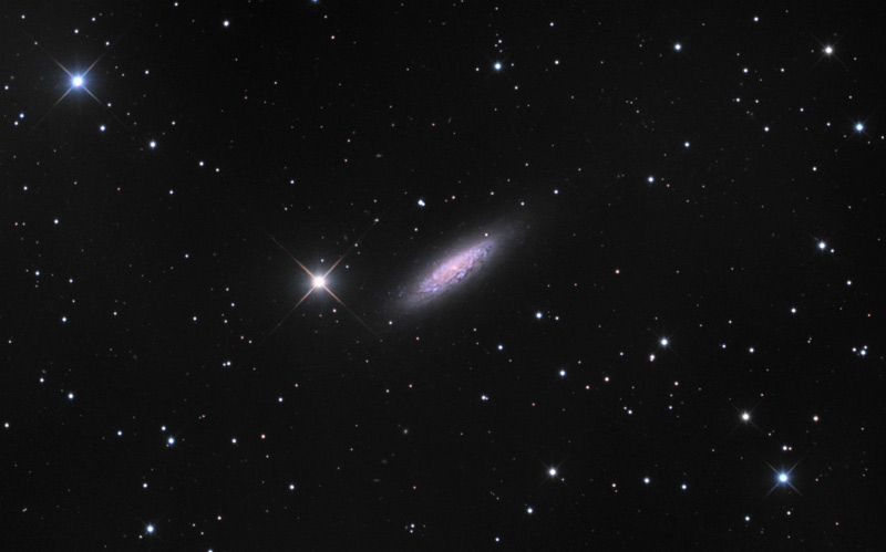 ngc6503-75.jpg