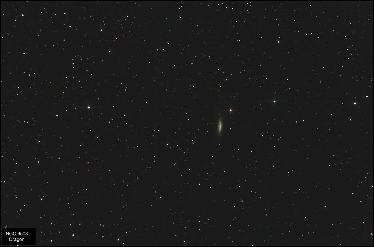 ngc6503.jpg