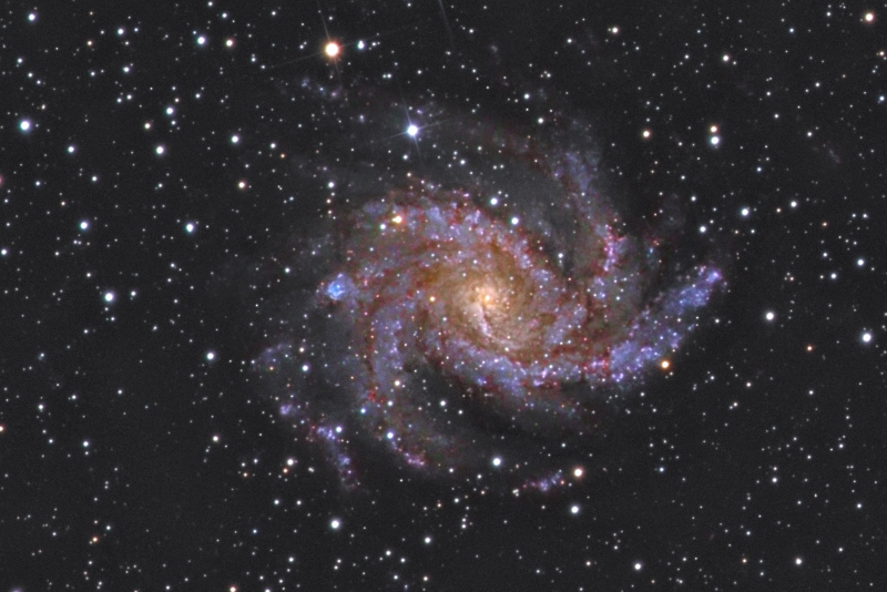 ngc6946_cdk_120809.jpg