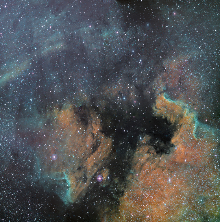 ngc7000-colorisee-XL.jpg