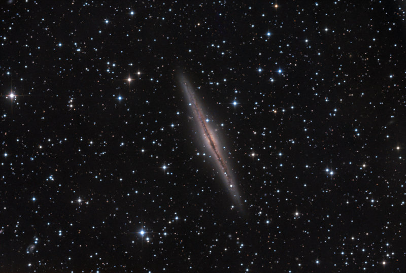 ngc891-75.jpg