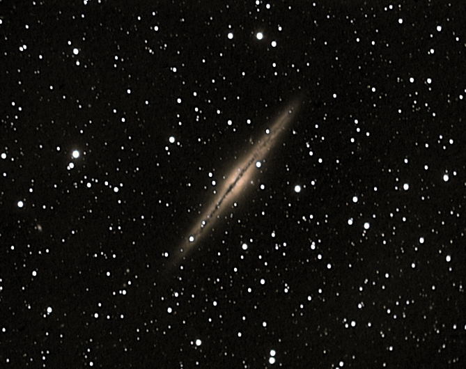 ngc891-trait2.jpg