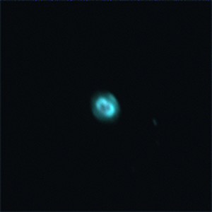 ngc_7610.jpg