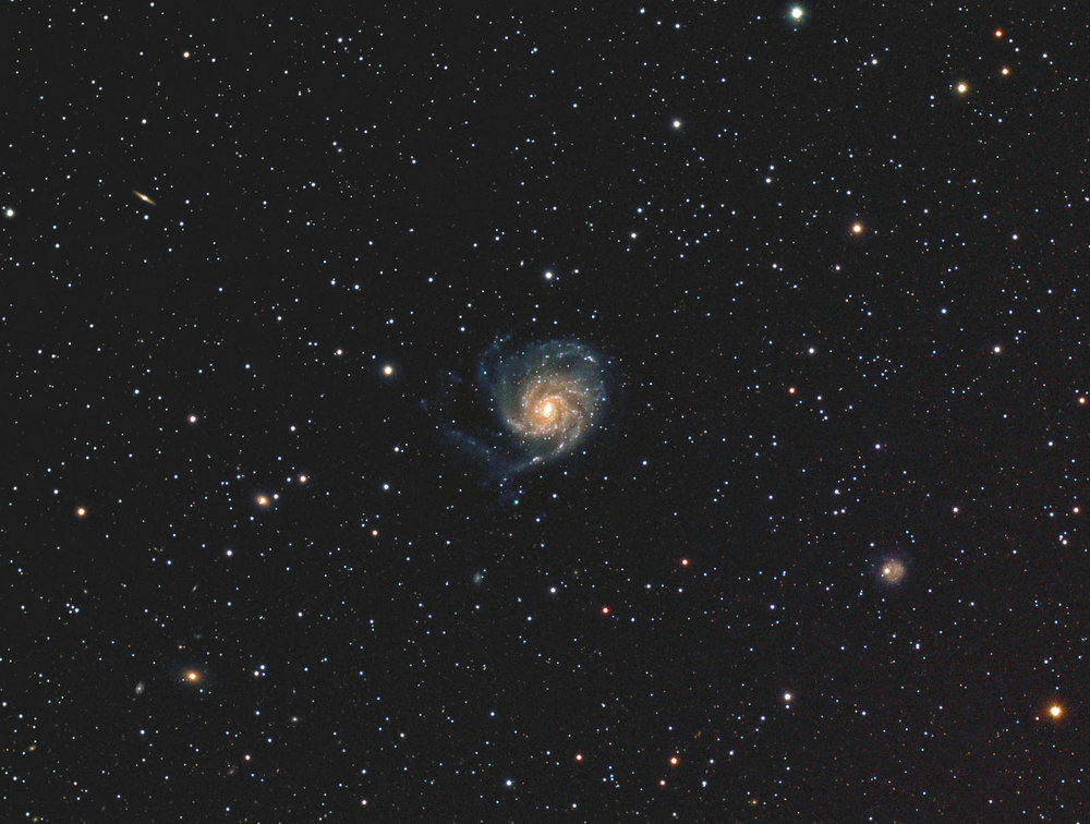 ob_d08c47_m101-lrvb-2-ok-affi-peg-petite