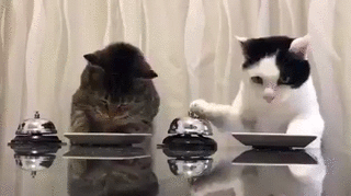 RÃ©sultat de recherche d'images pour "sonnette"