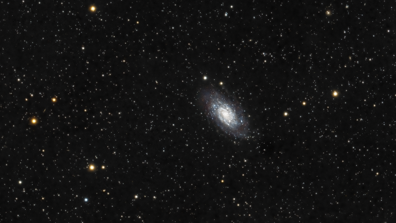 picture-7acd821adbf58e5b14a88b87ed3ee649