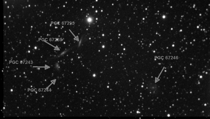 PGC 67235-239-243-246_ZWO ASI290MM (53045621) _Stack 15 frames_Tot.Exp.  150s_2018-09-16T00_32_54_Annotated.jpg