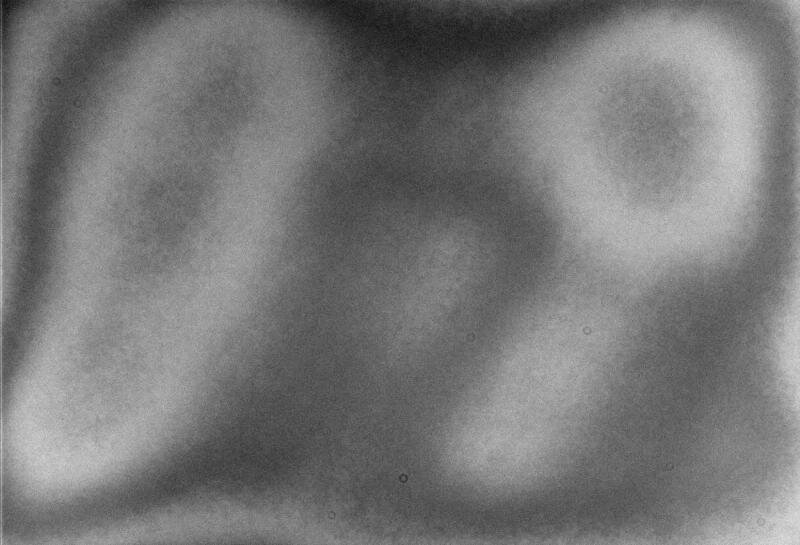 post-31200-0-41717000-1604433063_thumb.j