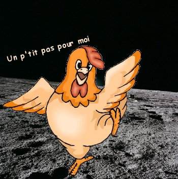 poulet_lune.jpg