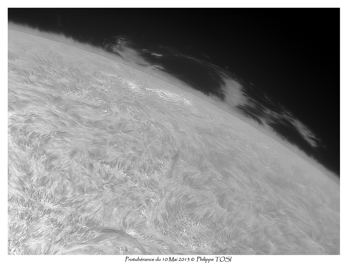 protub10mai.jpg