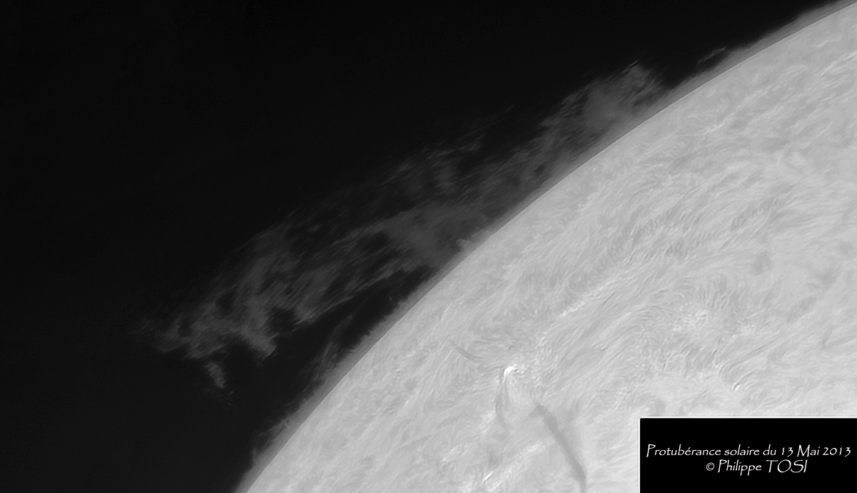 protub13mai.jpg