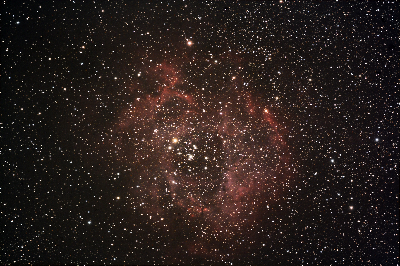 rosette-28i-180s-1600ISO-120421015-1.jpg