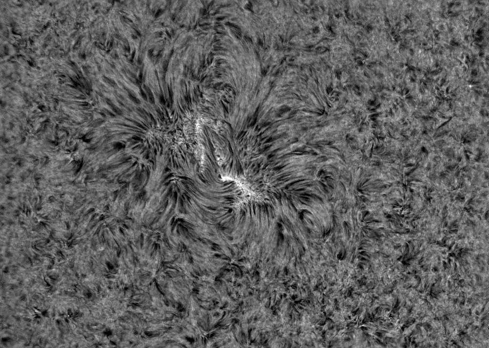 sol50.jpg.7faf37e8b6a200ad6185080cd116a7