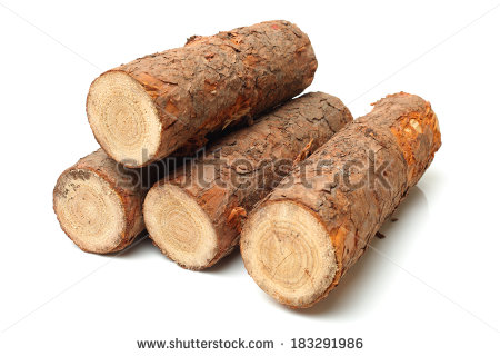 stock-photo-pine-logs-on-white-background-183291986.jpg