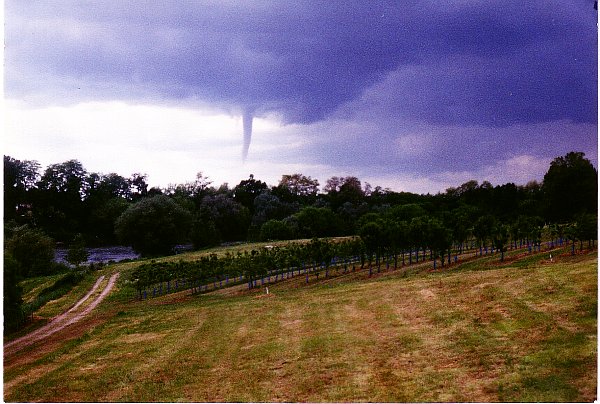 tornadedu15mai1999.jpg