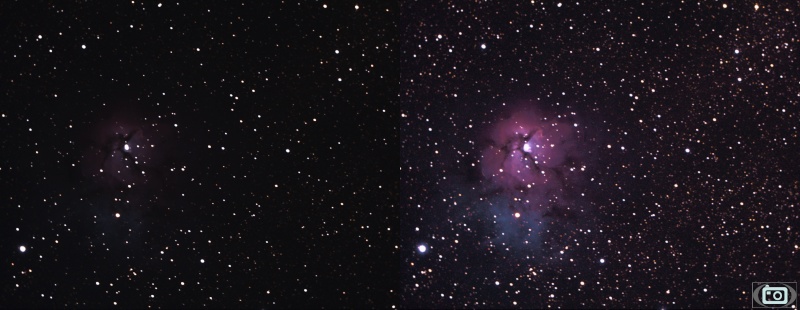 trifid10.jpg