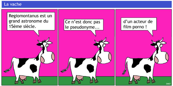 vache9.jpg