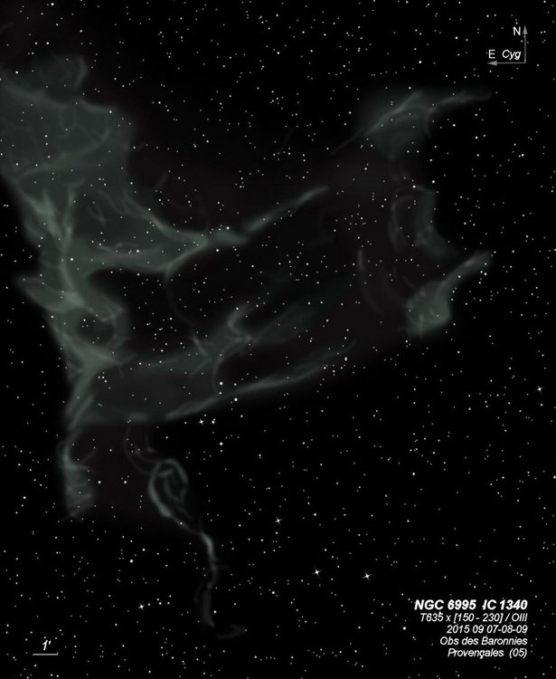5aa583d26de3c_NGC6995IC1340T635BL2015090789.thumb.jpg.ef005cca020352a3961589c50362c28d.jpg