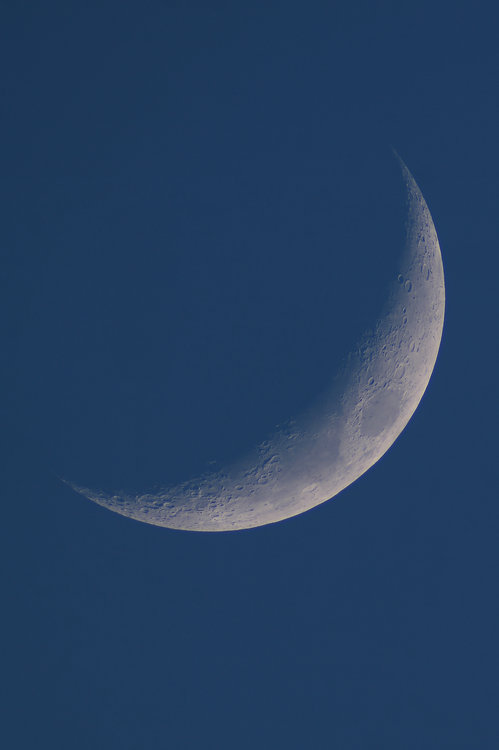 Série 21-03-2018_120-20ap40_lapl4_ap1183-registax1low.jpg